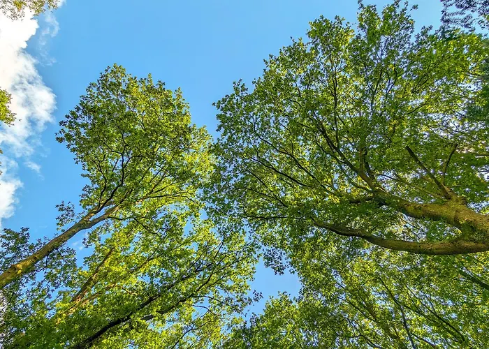 Cozy Tiny House Between Veluwe En Veluwemeer - With Free Use Of Bikes Chalet Ermelo