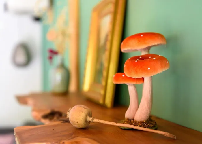 Chalet Cozy Tiny House Between Veluwe En Veluwemeer - With Free Use Of Bikes *