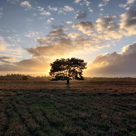 Cozy Tiny House Between Veluwe En Veluwemeer - With Free Use Of Bikes *