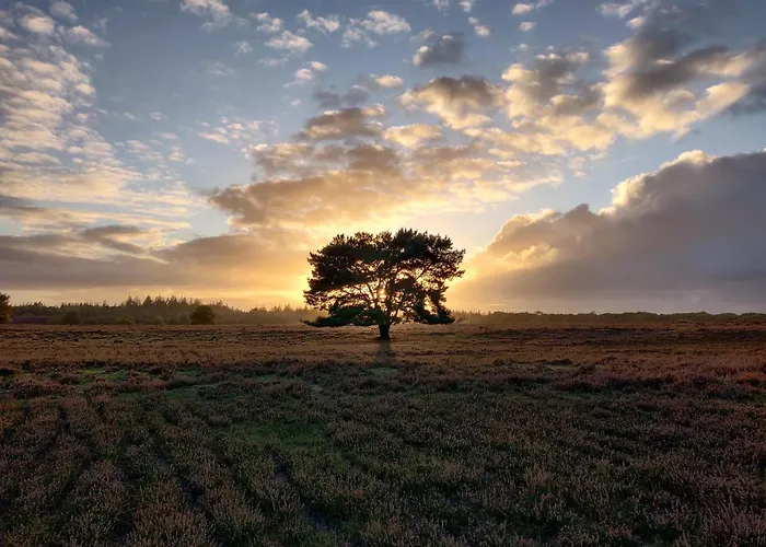 Cozy Tiny House Between Veluwe En Veluwemeer - With Free Use Of Bikes *