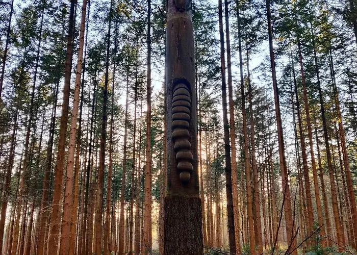 Cozy Tiny House Between Veluwe En Veluwemeer - With Free Use Of Bikes Chalet *
